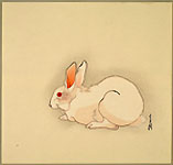 AN ALBINO RABBIT, SOLD
