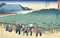 THE PINE TREE AT NANIWAYA RESTAURANT IN ANRYUMACHI